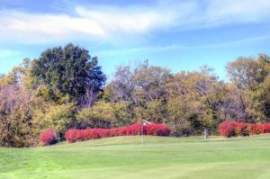 Adams Pointe Golf Club, Blue Springs, Missouri Golf Courses