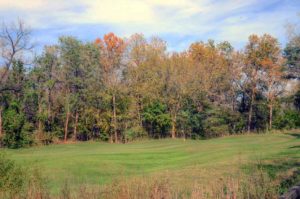 Adams Pointe Golf Club, Blue Springs, Missouri Golf Courses