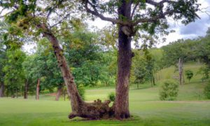 Bear Creek Valley Golf Club, Lake of the Ozarks, Missouri, Best Golf Courses at the Lake of the Ozarks, MO