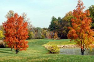 Bellerive Country Club, St. Louis Golf Course