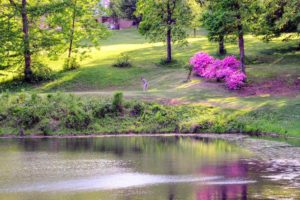 Bent Creek Golf Course, Golf Courses in Jackson, Missouri