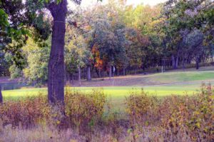 Brookfield Country Club, Golf Courses in Brookfield, Missouri