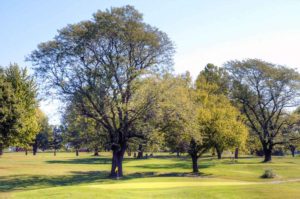 Cameron Veterans'Memorial Golf Club, Cameron, Missouri Golf Courses