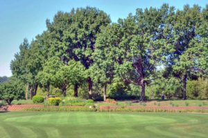 Cardinal Hill Golf Course, Best Golf Courses in Kansas City, Missouri