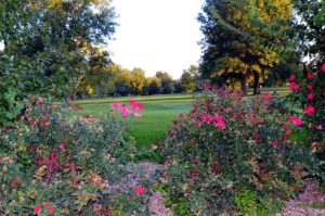 Chillicothe Country Club, Golf Courses in Chillicothe, Missouri