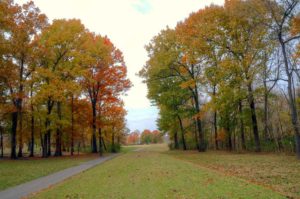 Crescent Farms Golf Club, Best Golf Courses in St. Louis 