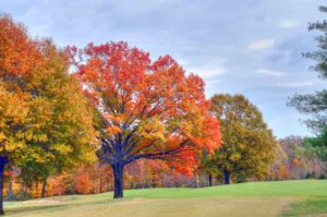 Crescent Farms Golf Club, Best Golf Courses in St. Louis 