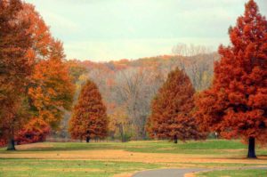 Crescent Farms Golf Club, Best Golf Courses in St. Louis 