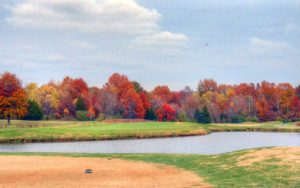 Crescent Farms Golf Club - Colt Executive | Golf Courses in St. Louis