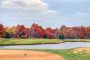 Crescent Farms Golf Club - Colt Executive | Golf Courses in St. Louis