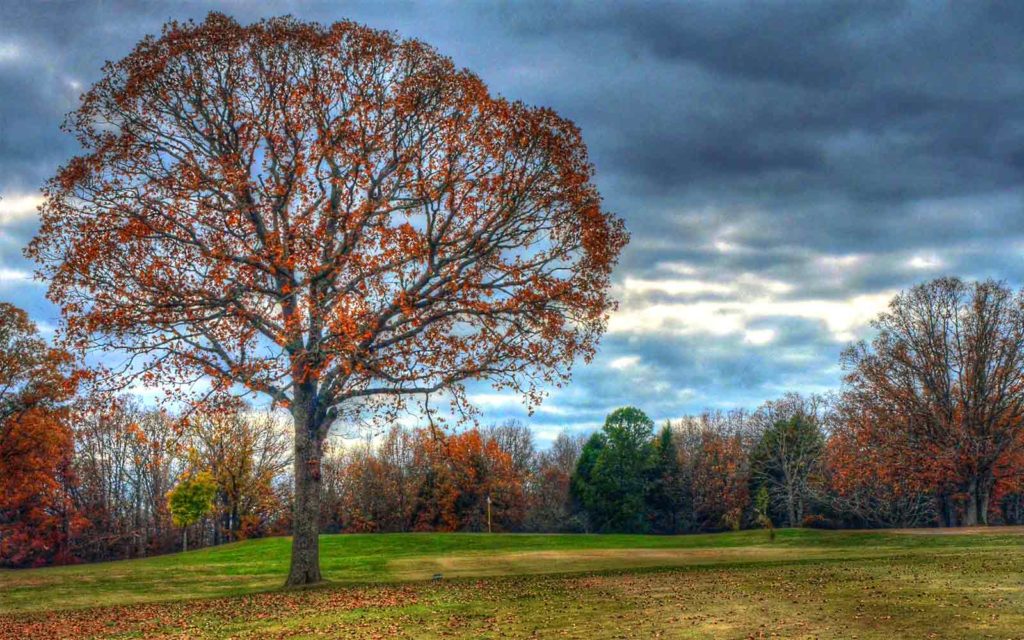 Cuba Lakes Golf Club. Golf Courses in Cuba, Missouri