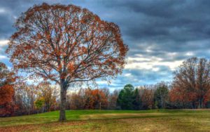 Cuba Lakes Golf Club. Golf Courses in Cuba, Missouri