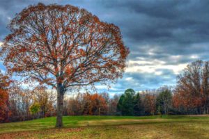 Cuba Lakes Golf Club. Golf Courses in Cuba, Missouri