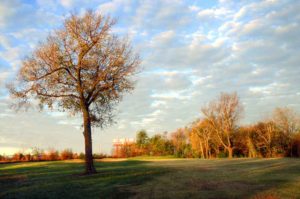 Deer Lake Golf Course, Springfield, Missouri Golf Courses 