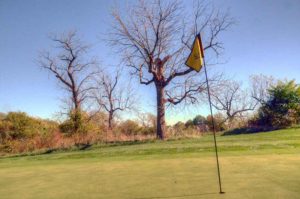 Drumm Farm Golf-Club - Executive Course, Golf Courses in Kansas City, Missouri