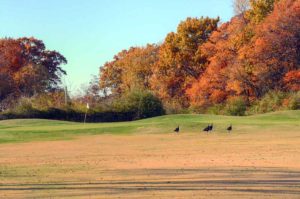 Emerald Greens Golf Course, Golf Courses in St. Louis, Missouri