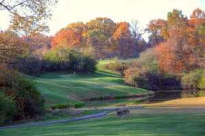 Emerald Greens Golf Course, Golf Courses in St. Louis, Missouri