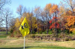 Emerald Greens Golf Course, Golf Courses in St. Louis, Missouri