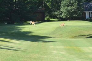 Four Seasons Country Club, St. Louis Golf Courses