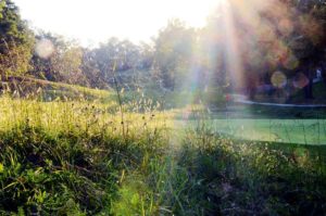 Hidden Pines Country Club, Golf Courses in Warrensburg, Missouri