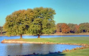 Higginsville Country Club, Golf Courses in Higginsville, Missouri