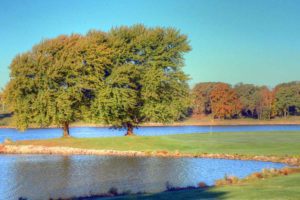 Higginsville Country Club, Golf Courses in Higginsville, Missouri