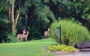 Hodge Park Golf Club, Kansas City, MO Golf Courses