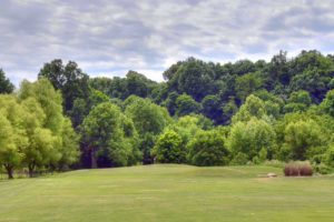 Honey-Creek-Golf-Club,-Aurora,-MO-Green