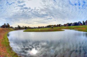 Island Green Golf Club, Golf Courses in Republic, Missouri 