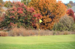 Island Green Golf Club, Golf Courses in Republic, Missouri 