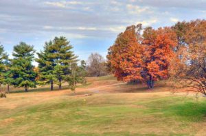 Island Green Golf Club, Golf Courses in Republic, Missouri 