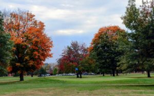 Jackson Park Golf Course, Palmyra Golf courses