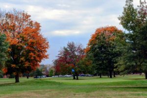 Jackson Park Golf Course, Palmyra Golf courses