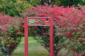 Jackson Park Golf Course, Palmyra Golf courses