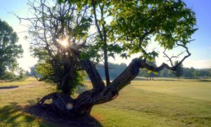 Lake Valley Country Club, Lake of the Ozarks, Missouri, Best golf courses at the Lake of the Ozarks, MO