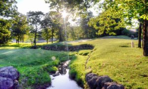 Lodge of Four Seasons - The Ridge, Lake of the Ozarks, Missouri, Golf courses at the Lake of the Ozarks, MO