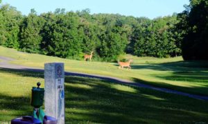 Lodge of Four Seasons - The Ridge, Lake of the Ozarks, Missouri, Golf courses at the Lake of the Ozarks, MO