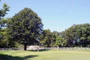 Meadow Lake Acres Country Club, New Bloomfield Golf courses