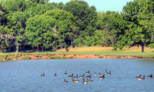 Meadow Lake Golf Course, Clinton, Missouri, golf courses in Clinton, MO