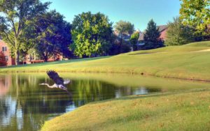 Meadowbrook Country Club, St. Louis Golf Courses