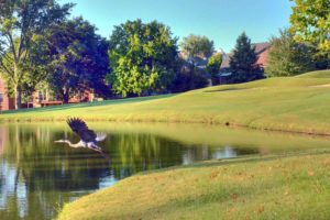 Meadowbrook Country Club, St. Louis Golf Courses