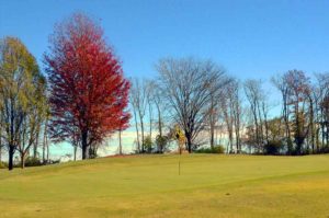 Millwood Golf and Racquet Club, Golf Courses in Springfield, Missouri