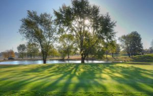 Mosswood Meadows Golf Course, Monroe City Golf Courses