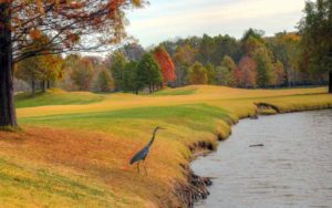 Old Hickory Golf Club, St. Louis Golf Courses