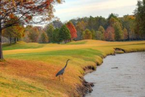 Old Hickory Golf Club, St. Louis Golf Courses