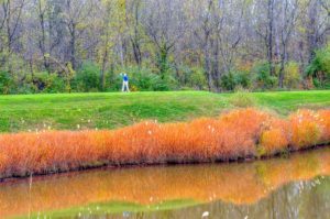 Old Hickory Golf Club, St. Louis Golf Courses