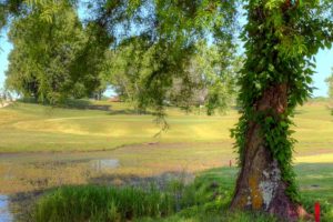 Ozark Ridge Golf Course, Poplar Bluff Golf Courses