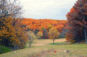 Paradise Valley Golf and Country Club, Golf Courses in St. Louis, MO