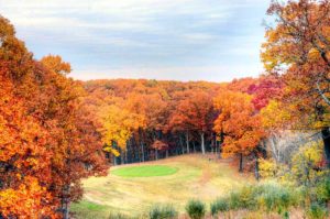 Paradise Valley Golf and Country Club, Golf Courses in St. Louis, MO