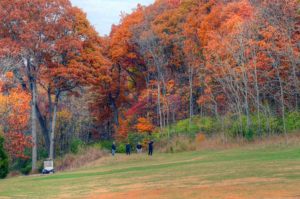 Paradise Valley Golf and Country Club, Golf Courses in St. Louis, MO